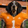 Cam Holt Vols 🍊 profil fotoğrafı