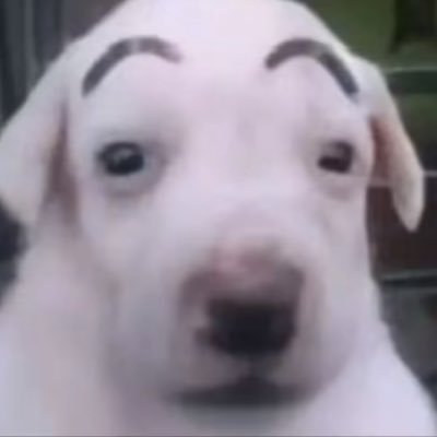 torosinco's profile picture