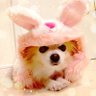 なぁー。's profile picture