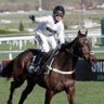 racing.buckaroo's profile picture
