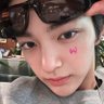 🦊🐶's profile picture