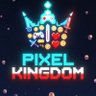 Pixel Kingdom profil fotoğrafı