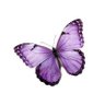 Фото профиля Purple🪻