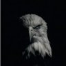 incest:)rafor..'s profile picture