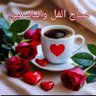 ابن مصر.M.G. profil fotoğrafı
