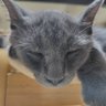 たけぴ。's profile picture