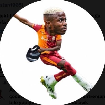 Aslan1905l's profile picture