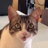 amtts profil fotoğrafı