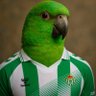 Profilbild von Liver Prince Betis