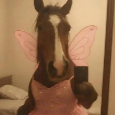 đẹp gái dái to!'s profile picture
