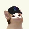 mst | Raydium's profile picture