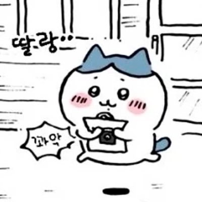 보석달걀's profile picture