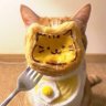 qqmmbb's profile picture
