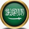 💎Ali Alali 🇸🇦 علي العلي 的头像