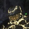Juan's profile picture