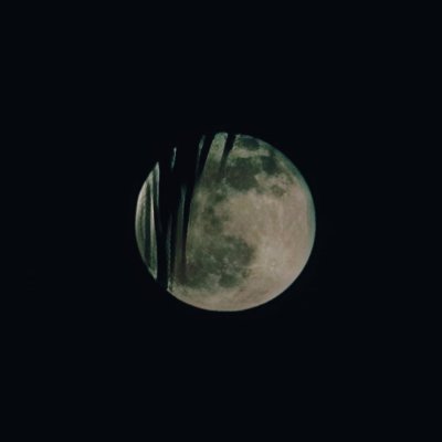 MeAndYou272's profile picture