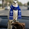 Profilbild von هـلالي والراس عـالي