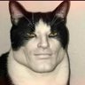 Dansk's profile picture