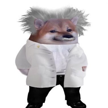 Rocca's profile picture