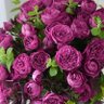 Фото профиля saho