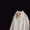متزعلش شوية وهتموت's profile picture