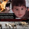 %99,9 KURT DNA’LI İTLER NEDEN SERBEST❓️ 的头像