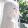 D Daifuku's profile picture