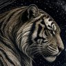 Dizzy /// Stripes's profile picture