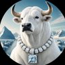 TMoneyBobo 🐂🀄️'s profile picture