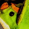sukep(すけっぷ)'s profile picture