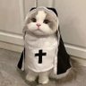 🐰🎀 แม่ชีน้อยกต's profile picture