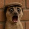 HORPEYHEMI's profile picture