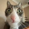 M Bilal's profile picture