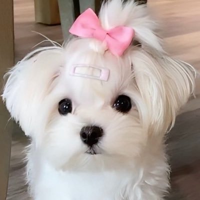 thursfourr's profile picture
