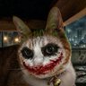 Profilbild von 茶トラのジョーカー｜The Tabby Joker