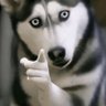indietronica's profile picture