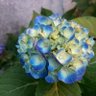 Фото профиля 鋭利なほいっぷあんてな( ᖛ ̫ ᖛ )📡