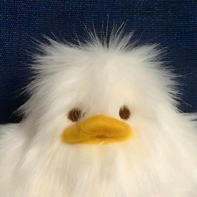 เจอร์รี่ ૮₍ ´˶• ᴥ •˶` ₎ა 🌽's profile picture