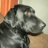 Germรกn โ๏ธ's profile picture
