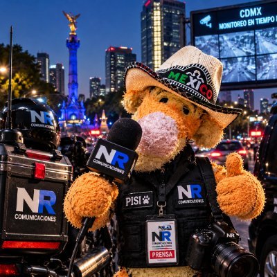 Raúl Gutiérrez's profile picture