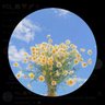 kanan_nk2 profil fotoğrafı