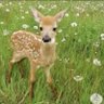 cassy profil fotoğrafı