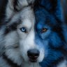 TraydenandRanger's profile picture