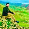 z…safi's profile picture