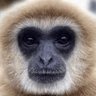 NC789's profile picture