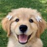 Valeriantha🌻's profile picture