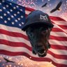 MadDog1776's profile picture