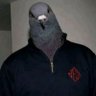 Profilbild von otto