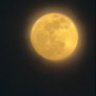 kluang man's profile picture