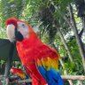 FILOCALISTA profil fotoğrafı